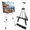 Art Easel Stand for Painting and Sign - RRFTOK Aluminum 66 Inch Metal Tripod Adjustable Portable Easels for Display - Canvas Stand for Table Top Floor Drawing for Artists Adult Holder or Teen & Organizer Storage Tote Bag